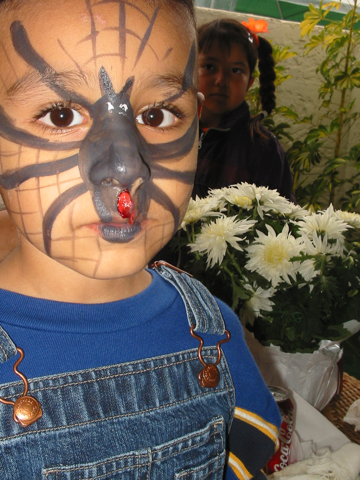 spider spider I declare